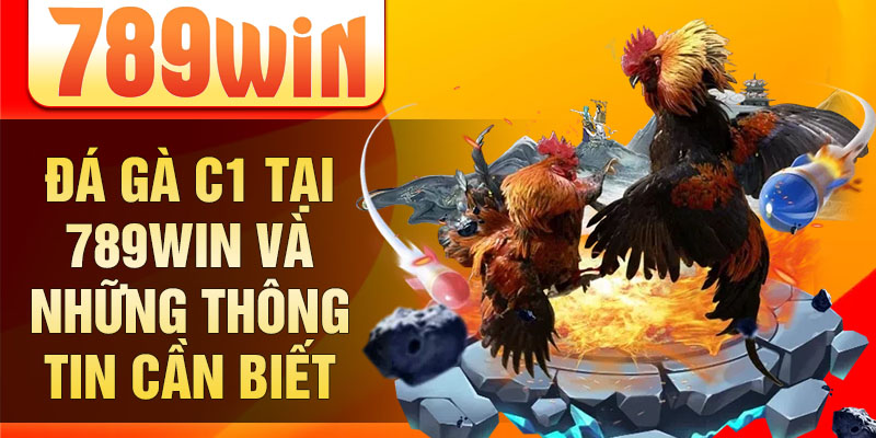 Đá gà C1 tại 789win và những thông tin cần biết Đá gà C1 tại 789win và những thông tin cần biết